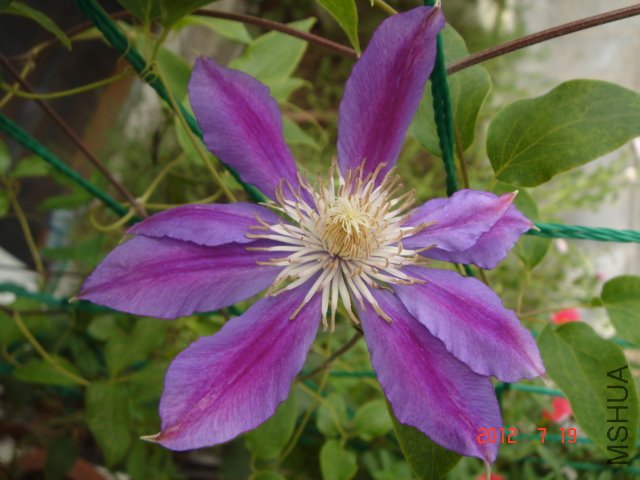 DSC05486.JPG