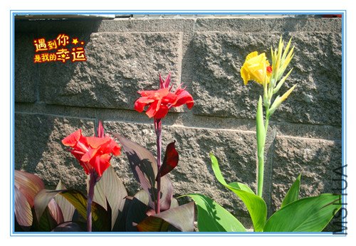 ��Ƭ 027_����.jpg