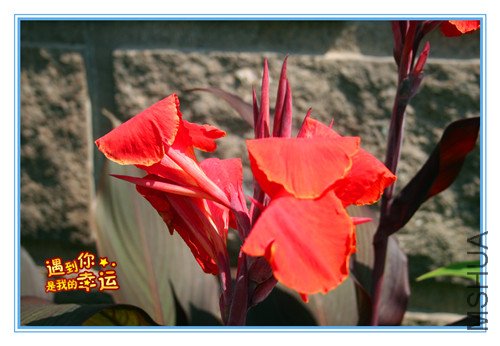 ��Ƭ 028_����.jpg