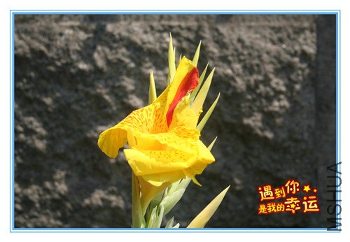 ��Ƭ 029_����.jpg