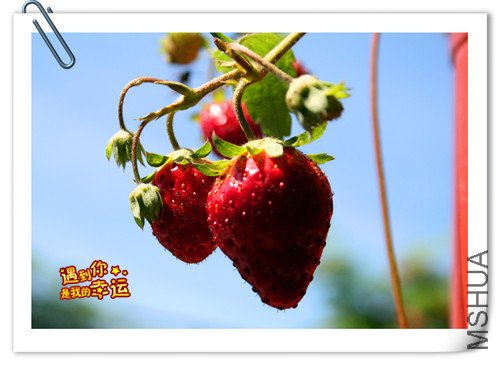 ��Ƭ 106_����.jpg