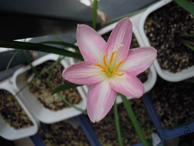 ��Ƭ 010.jpg