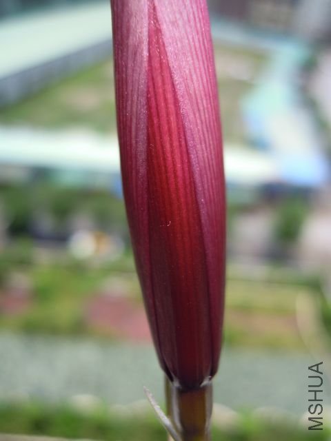 ��Ƭ 012.jpg