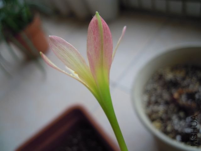 ��Ƭ 025.jpg