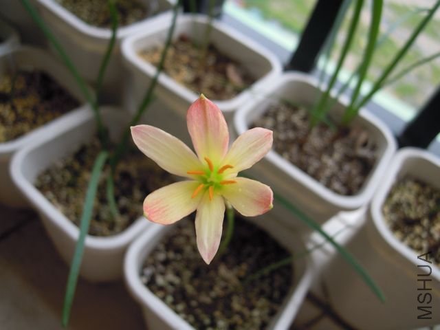 ��Ƭ 026.jpg