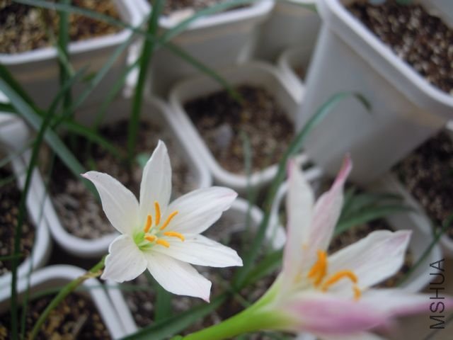 ��Ƭ 042.jpg