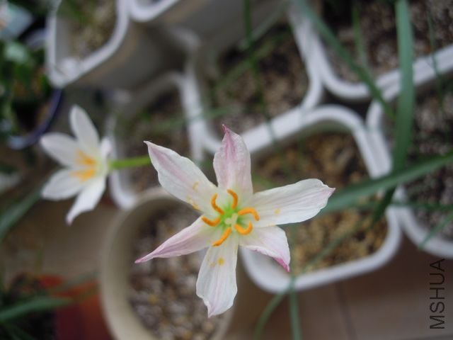 ��Ƭ 043.jpg