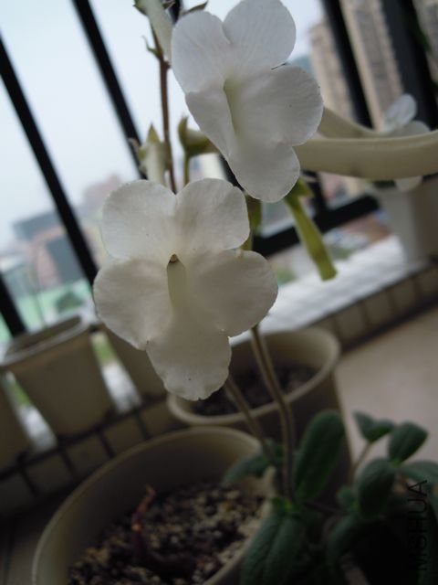 ��Ƭ 027.jpg