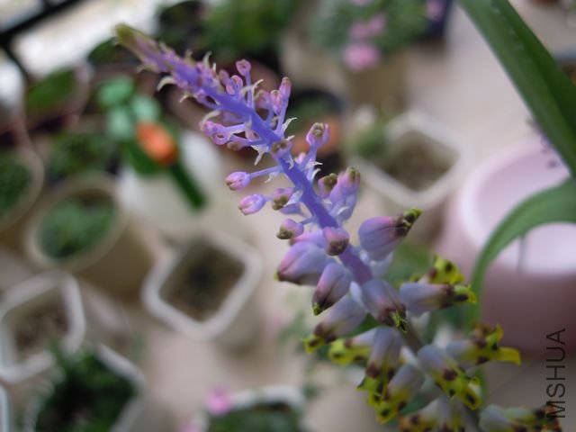 ��Ƭ 006.jpg