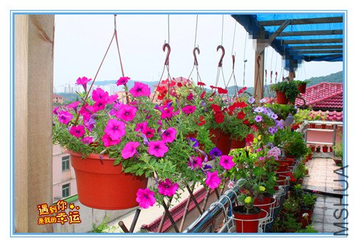 ��Ƭ 076_����.jpg