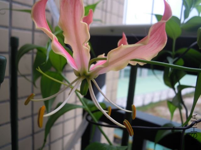��Ƭ 029.jpg