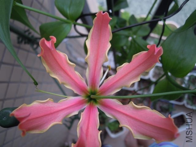 ��Ƭ 030.jpg