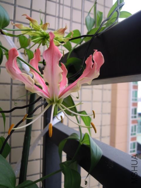��Ƭ 035.jpg