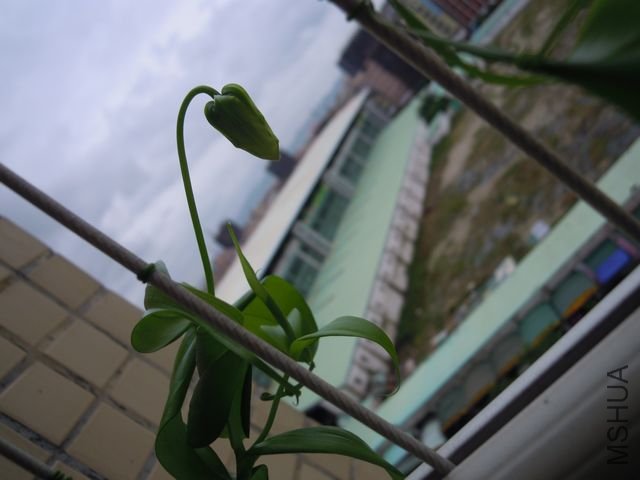 ��Ƭ 047.jpg