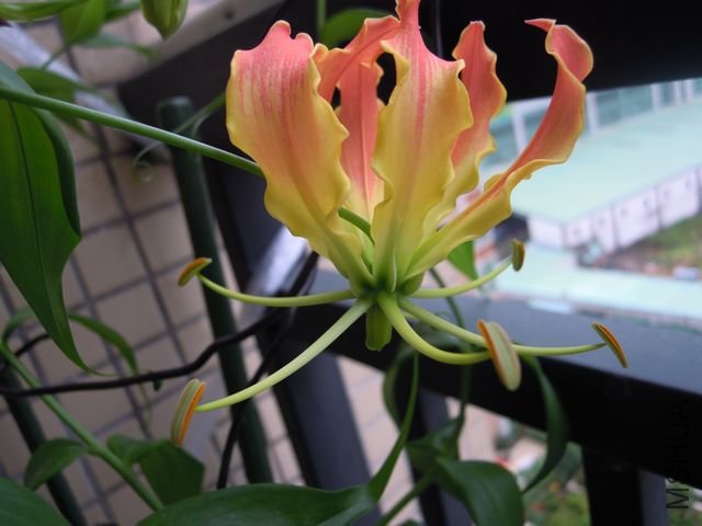 ��Ƭ 028.jpg