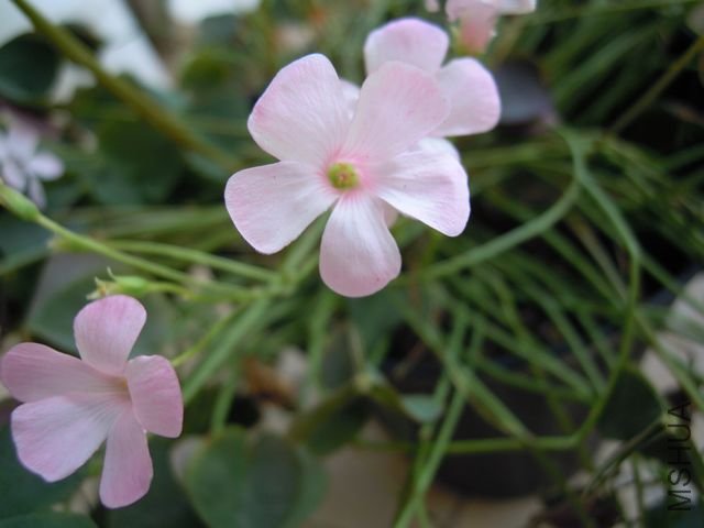 ��Ƭ 055.jpg