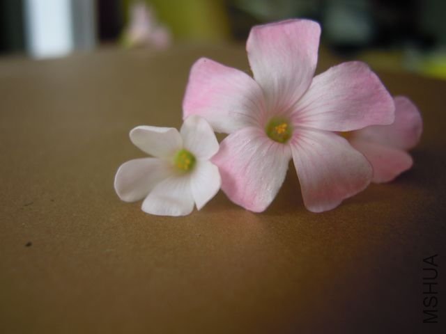 ��Ƭ 038.jpg