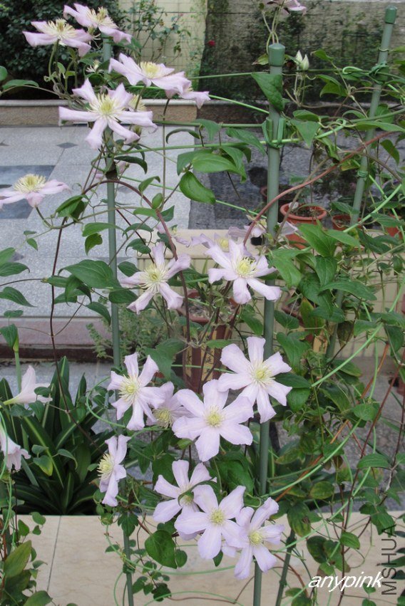 DSC05882-1.jpg