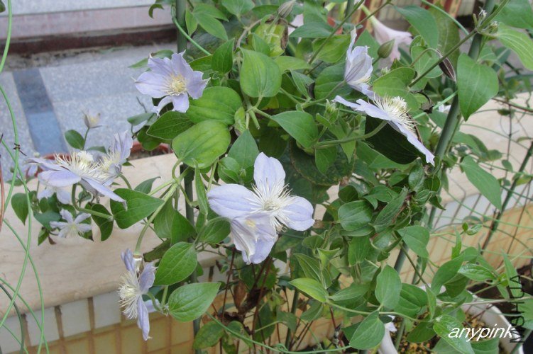 nEO_IMG_DSC05884.jpg