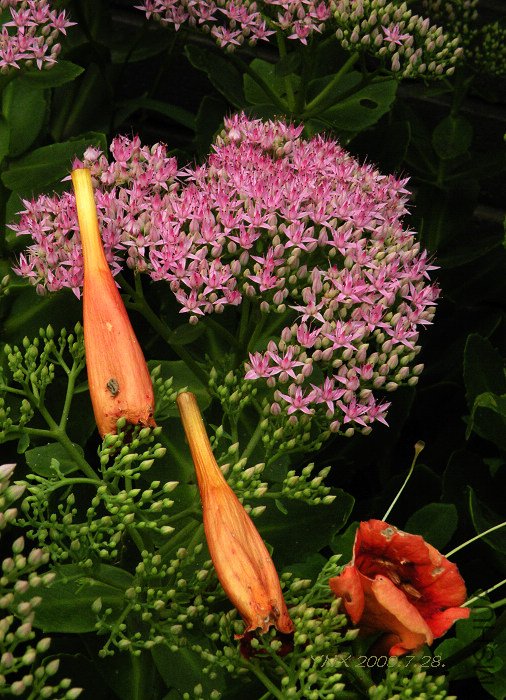 2009.7.22. 094.jpg