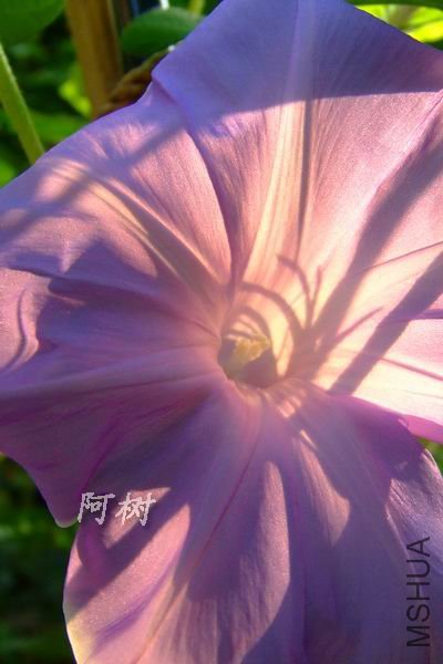 ���� 2012-0714(023).jpg