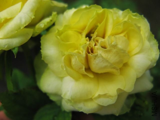 2012,7 052.jpg