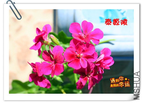 ��Ƭ 057_����M.jpg