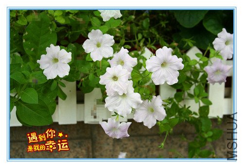 ��Ƭ 065_����.jpg