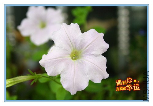 ��Ƭ 066_����.jpg