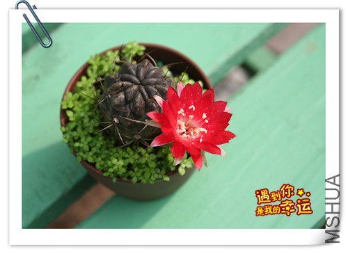 ��Ƭ 009_����.jpg