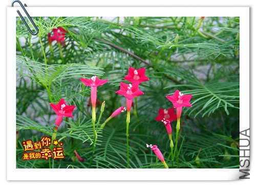 ��Ƭ 010_����.jpg