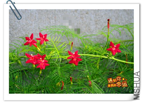 ��Ƭ 012_����.jpg