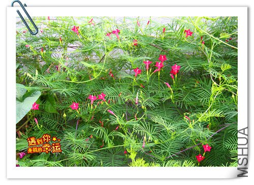 ��Ƭ 012_����1.jpg