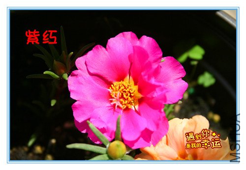 ��Ƭ 018_�����Ϻ�.jpg