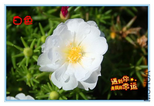 ��Ƭ 007_����.jpg