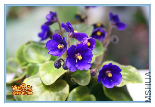 ��Ƭ 027_����.jpg