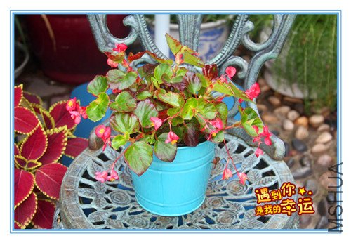 ��Ƭ 102_����.jpg