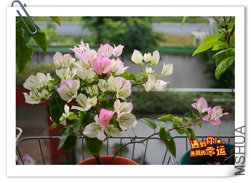 ��Ƭ 019_����.jpg