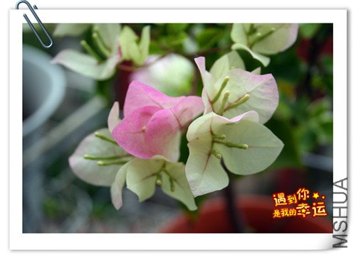 ��Ƭ 029_����.jpg