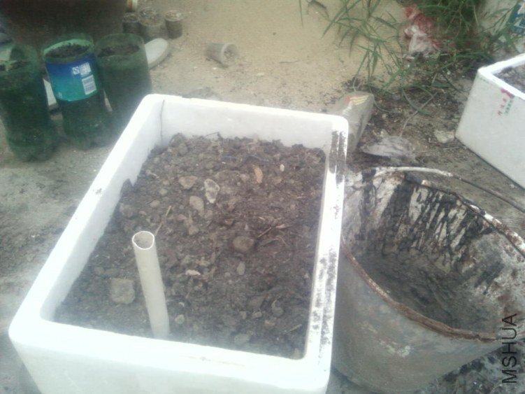 ���Ǹ���ģ�������ĭ���ص����ɵģ���ˮ��㣬�����ִ��Ķ���