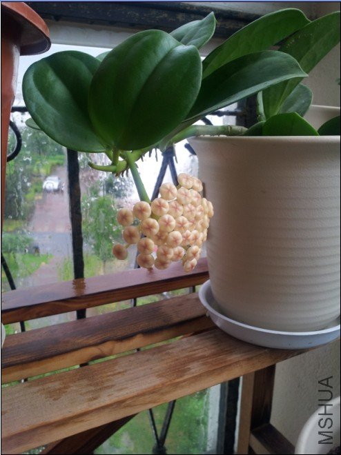 20120808_155733.jpg