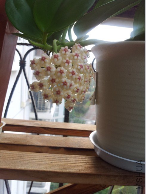 20120809_070036.jpg