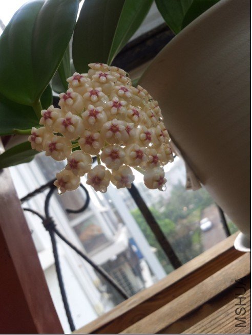 20120809_070051.jpg