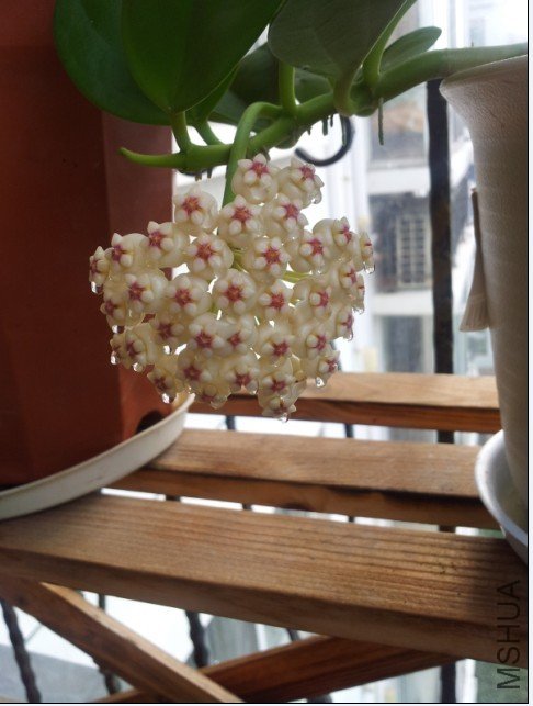 20120809_070107.jpg