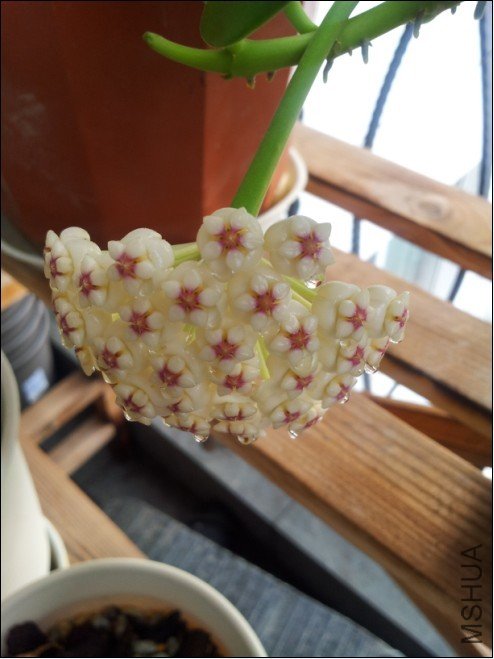 20120809_070143.jpg