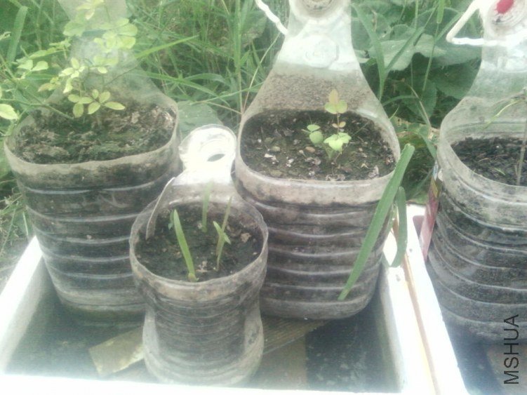 �����ҵİ�ˮ�࣬�ü���û�н�ˮ�ˣ�Ҫ��ˮ�ˣ��������ϻ�ȥ����