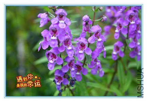 ��Ƭ 073_����.jpg