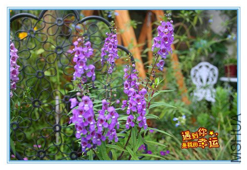 ��Ƭ 072_����.jpg