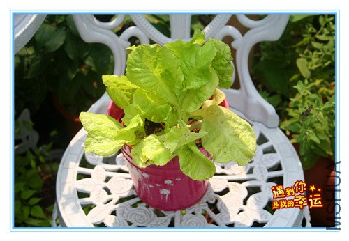 ��Ƭ 107_����.jpg