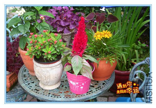 ��Ƭ 099_����.jpg